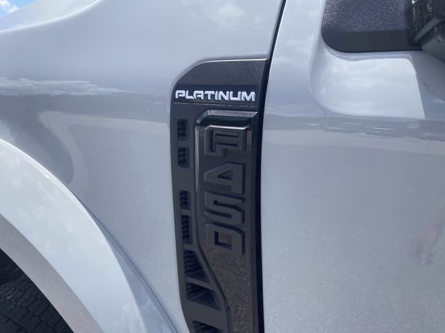 2025 Avalanche Ford Super Duty F-450 DRW Platinum 4X4 Truck