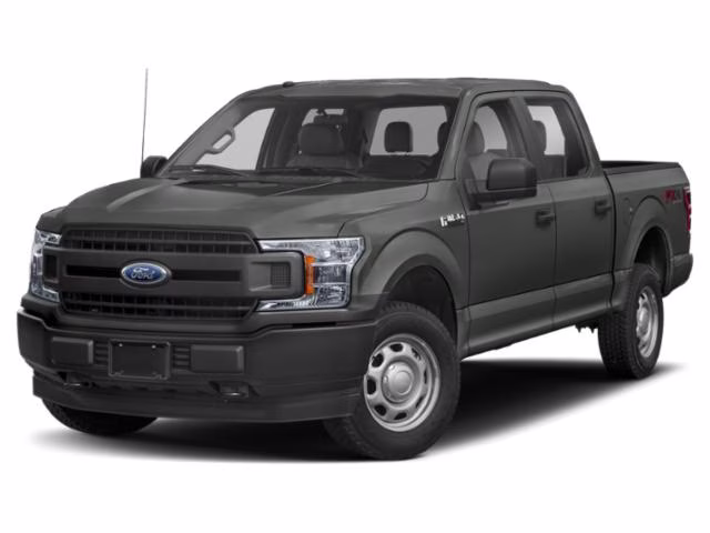 2020 Magnetic Ford F-150 XL 4X4 Truck