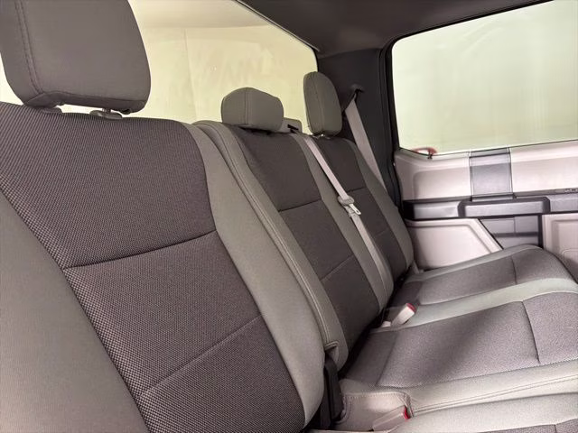 2020 Magnetic Ford F-150 XL 4X4 Truck