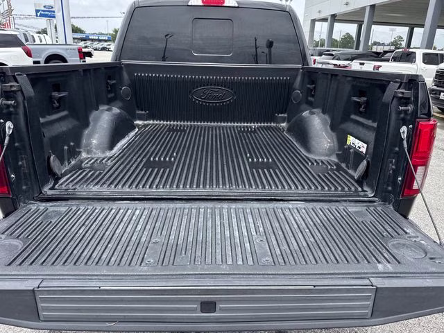 2020 Black Metallic Ford F-150 Platinum 4X4 Truck