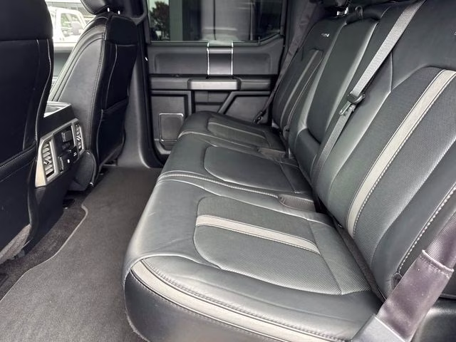 2020 Black Metallic Ford F-150 Platinum 4X4 Truck