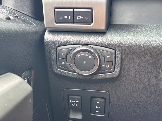 2020 Black Metallic Ford F-150 Platinum 4X4 Truck