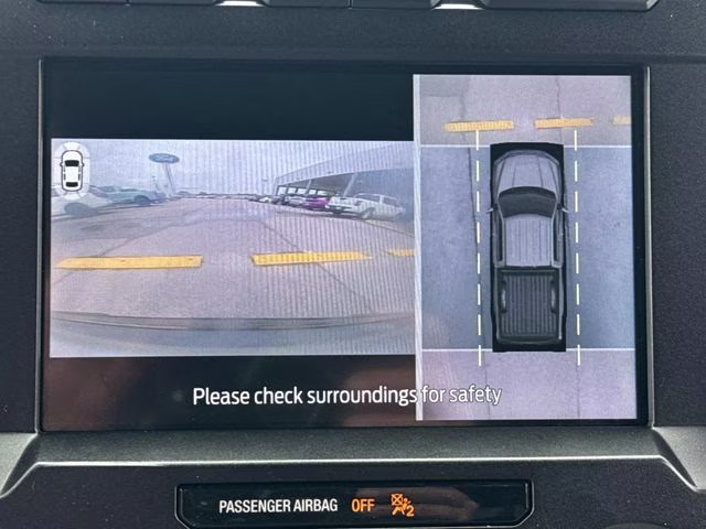 2020 Black Metallic Ford F-150 Platinum 4X4 Truck