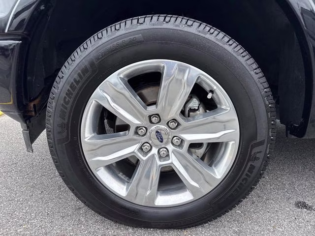 2020 Black Metallic Ford F-150 Platinum 4X4 Truck