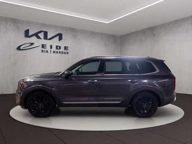 2020 Gravity Gray Kia Telluride SX AWD SUV
