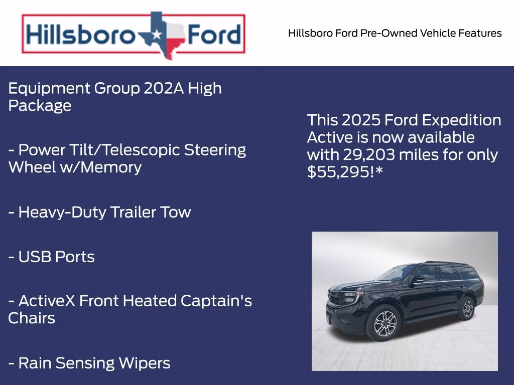 2025 Agate Black Metallic Ford Expedition Active 4X4 SUV