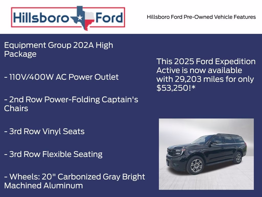 2025 Agate Black Metallic Ford Expedition Active 4X4 SUV