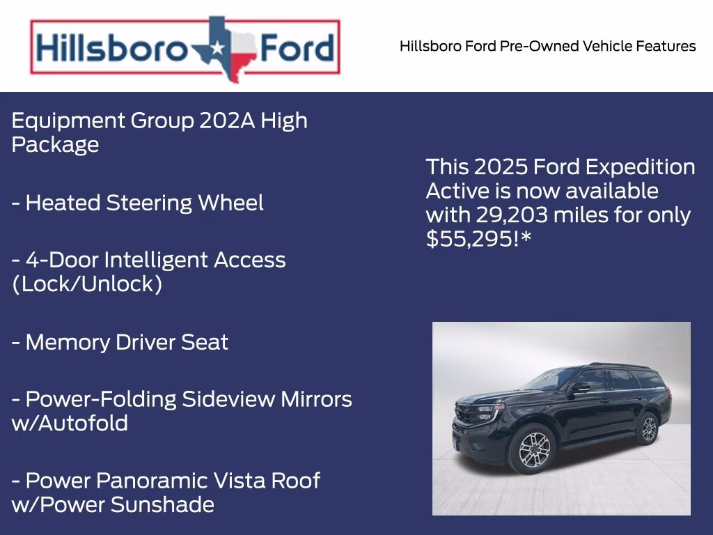 2025 Agate Black Metallic Ford Expedition Active 4X4 SUV