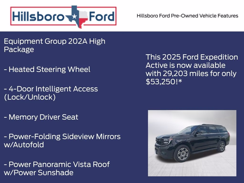 2025 Agate Black Metallic Ford Expedition Active 4X4 SUV