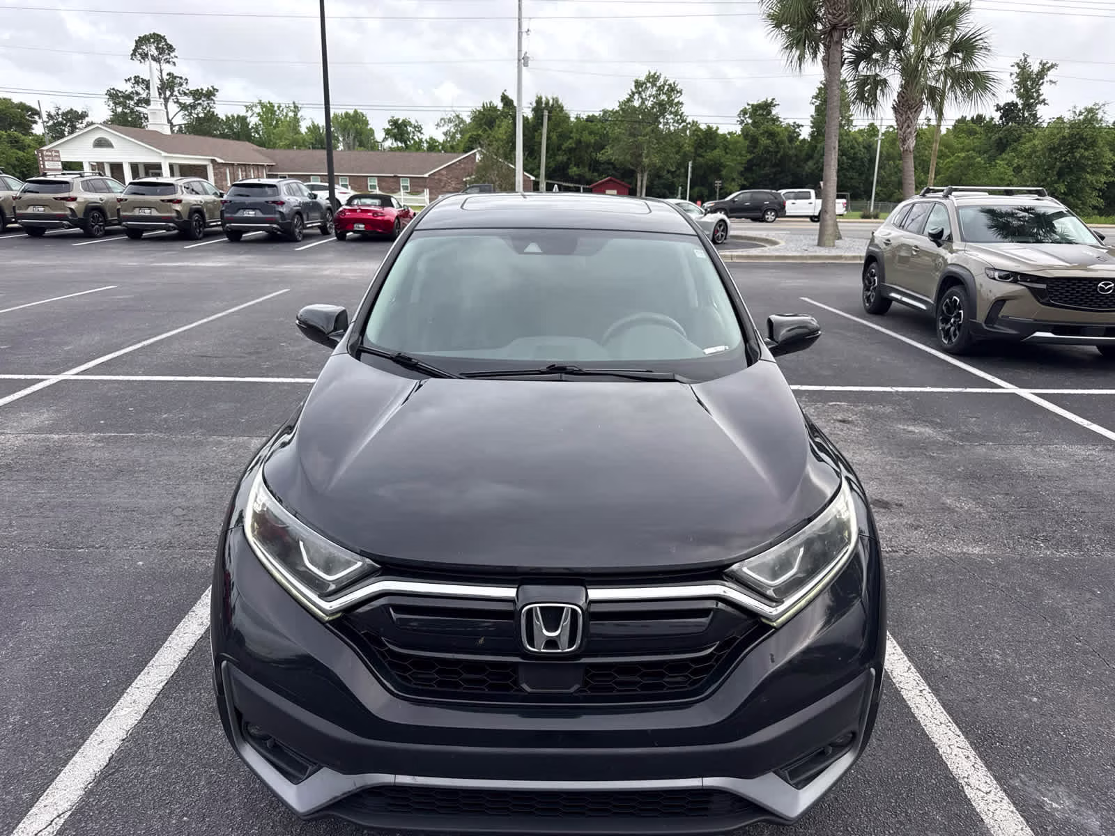 2021 Crystal Black Pearl Honda CR-V EX AWD SUV