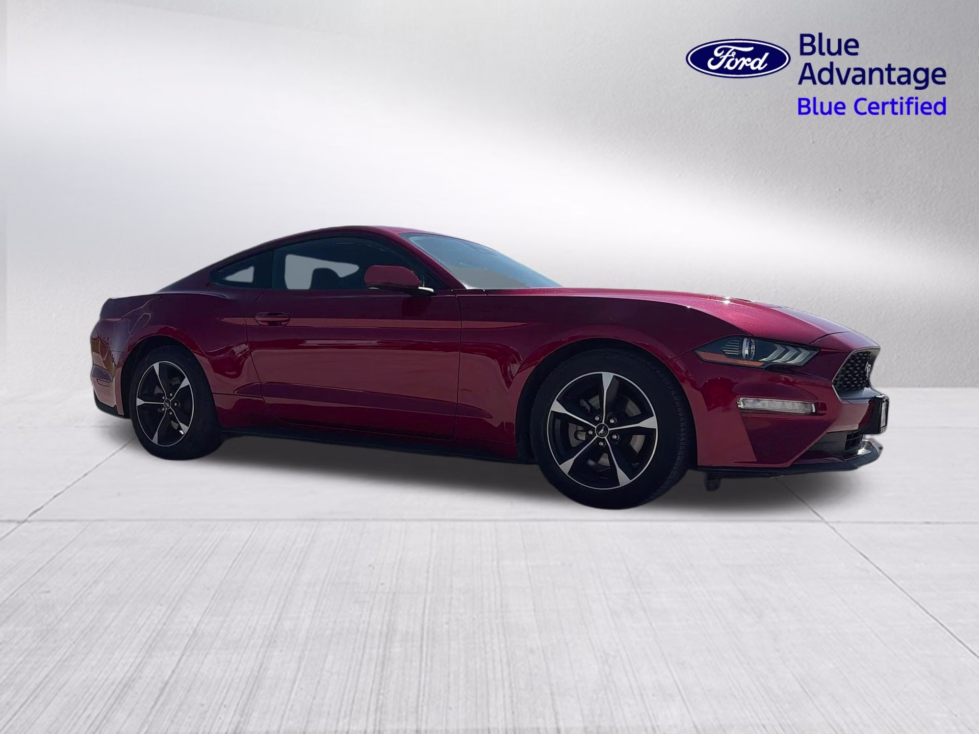 2023 Rapid Red Metallic Tinted Clearcoat Ford Mustang EcoBoost RWD Coupe