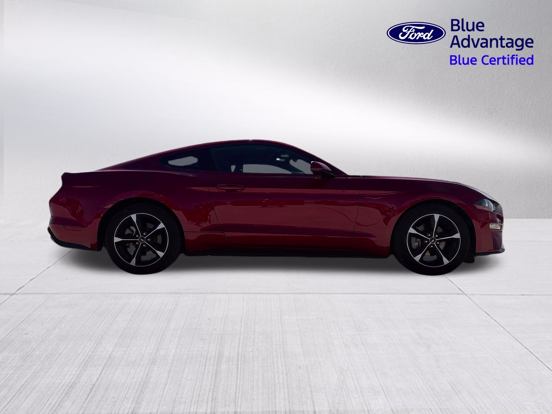 2023 Rapid Red Metallic Tinted Clearcoat Ford Mustang EcoBoost RWD Coupe