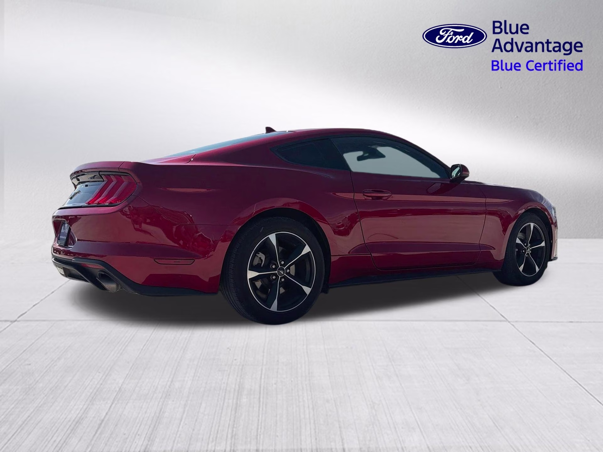 2023 Rapid Red Metallic Tinted Clearcoat Ford Mustang EcoBoost RWD Coupe