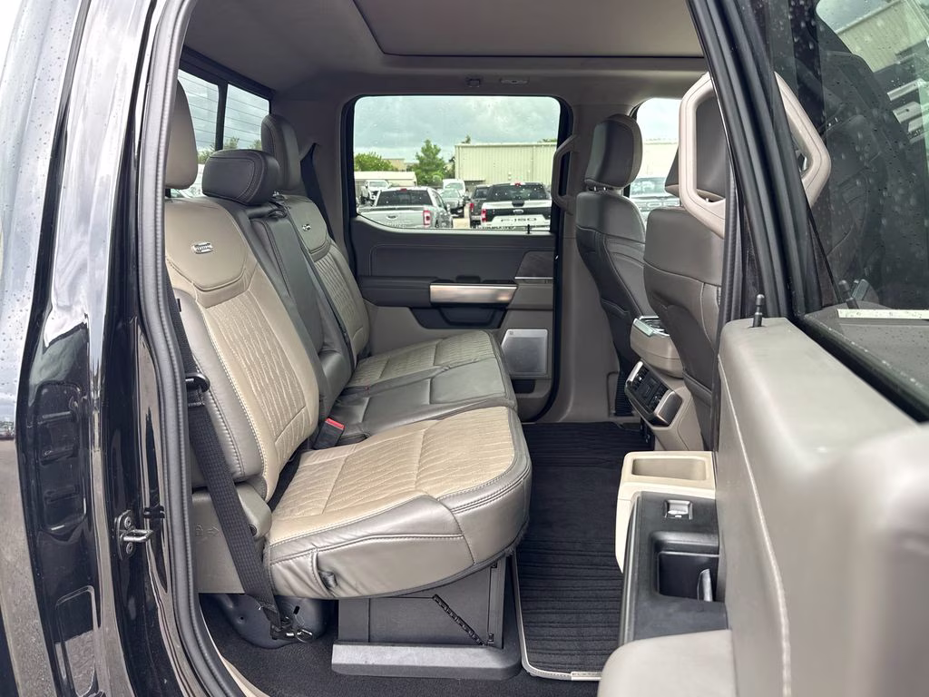 2024 Agate Black Metallic Ford F-150 Platinum 4X4 Truck