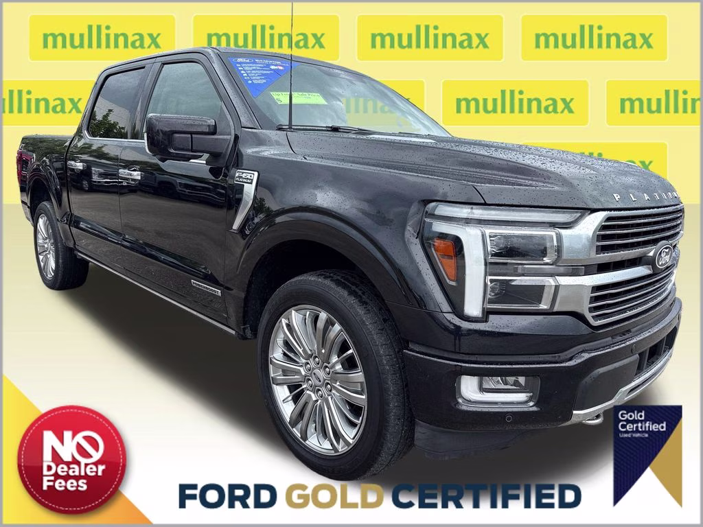 2024 Agate Black Metallic Ford F-150 Platinum 4X4 Truck