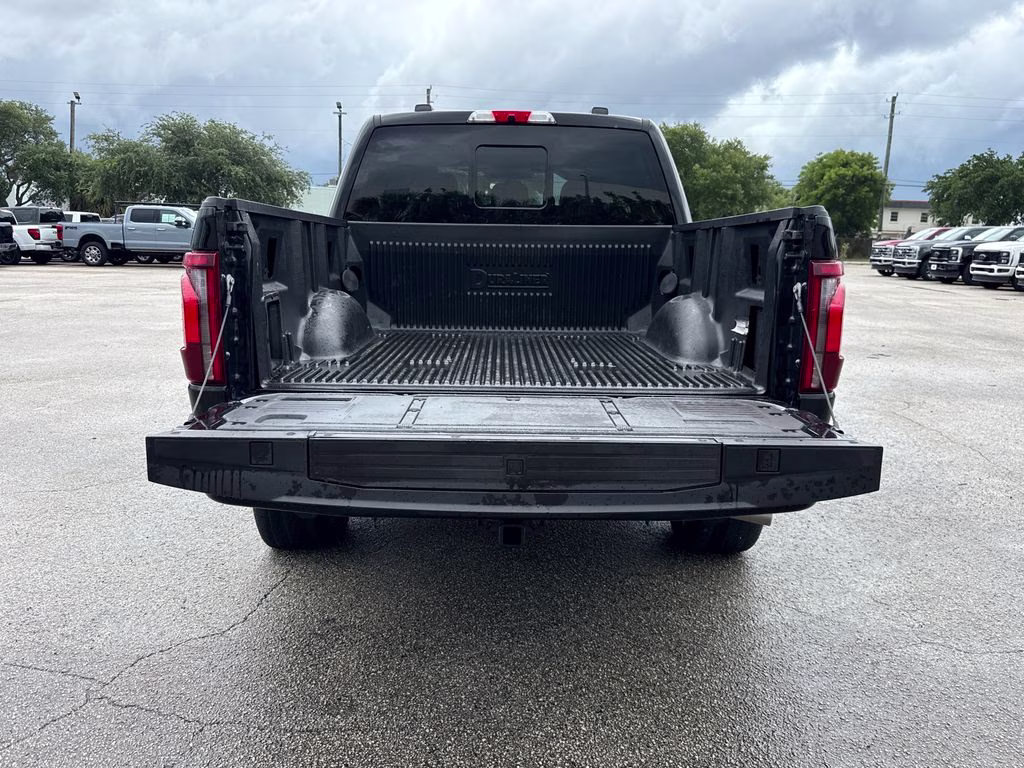 2024 Agate Black Metallic Ford F-150 Platinum 4X4 Truck