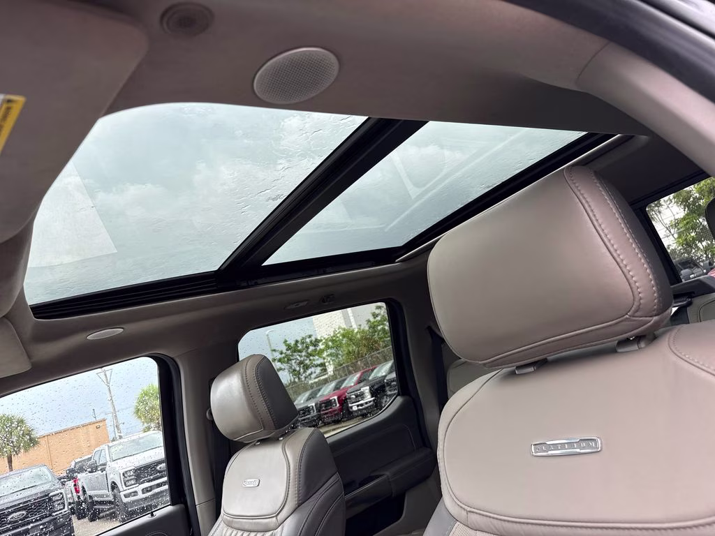 2024 Agate Black Metallic Ford F-150 Platinum 4X4 Truck