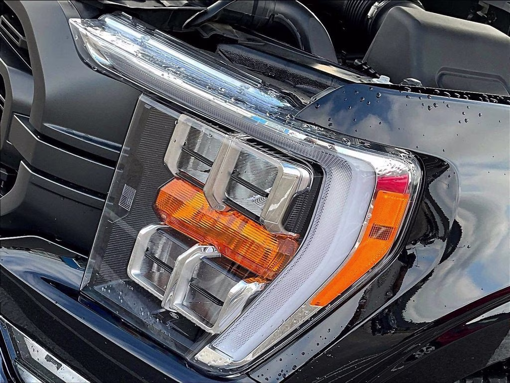 2023 Agate Black Ford F-150 XLT 4X4 Truck