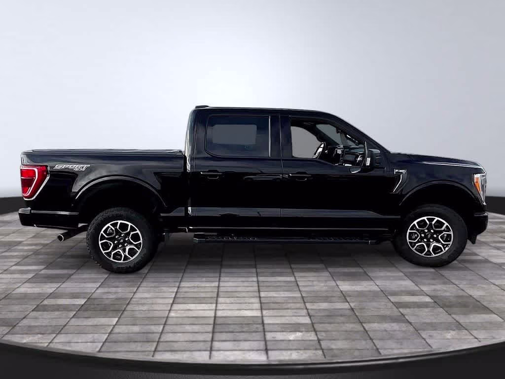 2023 Agate Black Ford F-150 XLT 4X4 Truck