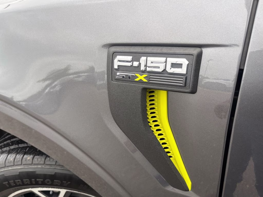2024 Gray Metallic Ford F-150 STX RWD Truck