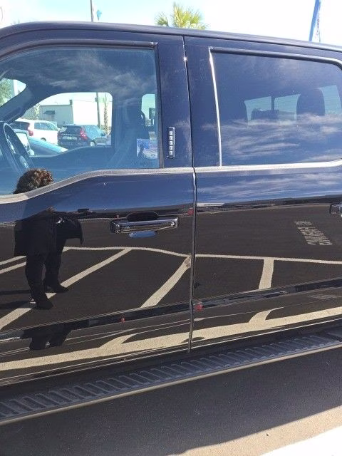 2023 Agate Black Metallic Ford F-150 XLT 4X4 Truck
