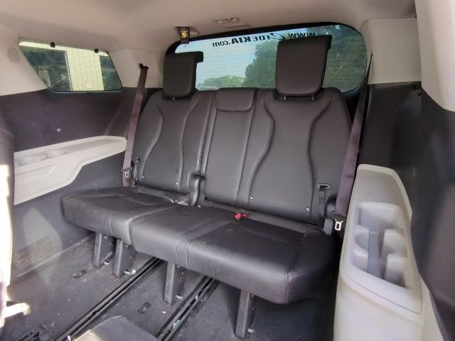 2024 Panthera Metal Kia Carnival SX FWD Van