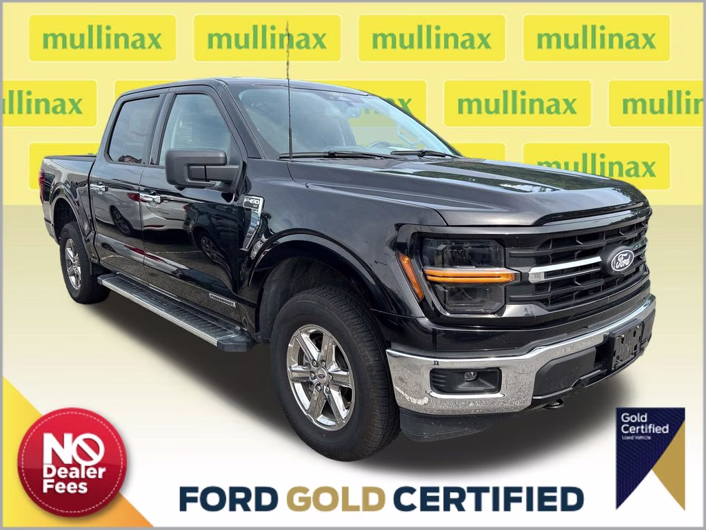 2024 Agate Black Metallic Ford F-150 XLT 4X4 Truck
