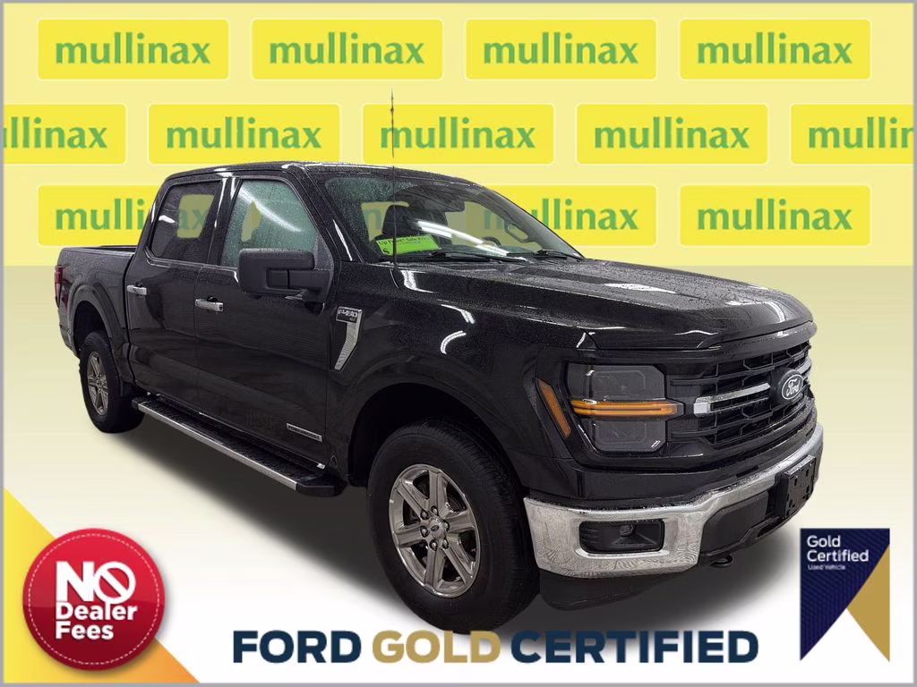 2024 Agate Black Metallic Ford F-150 XLT 4X4 Truck