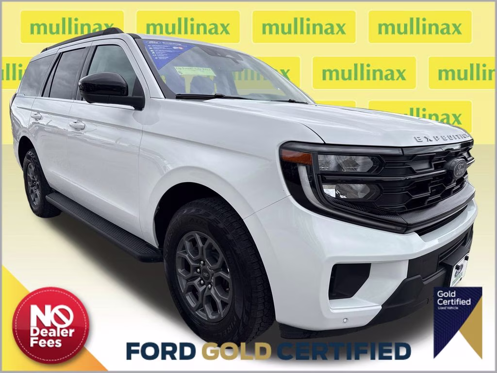 2025 Ford Expedition Active's photo