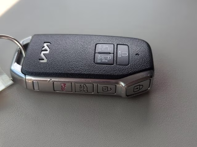 2024 Panthera Metal Kia Carnival SX FWD Van