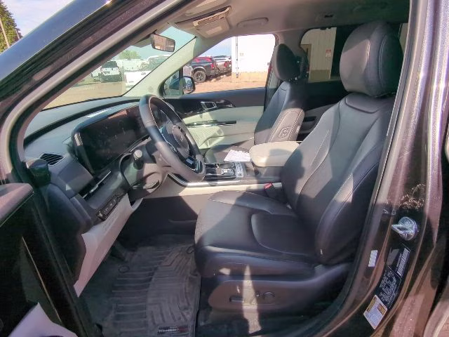2024 Panthera Metal Kia Carnival SX FWD Van