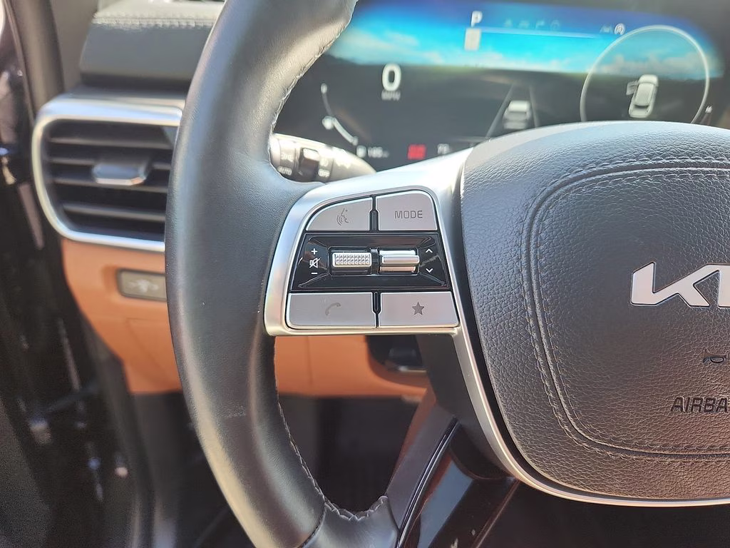 2025 Panthera Metal Kia Telluride SX X-Line AWD SUV