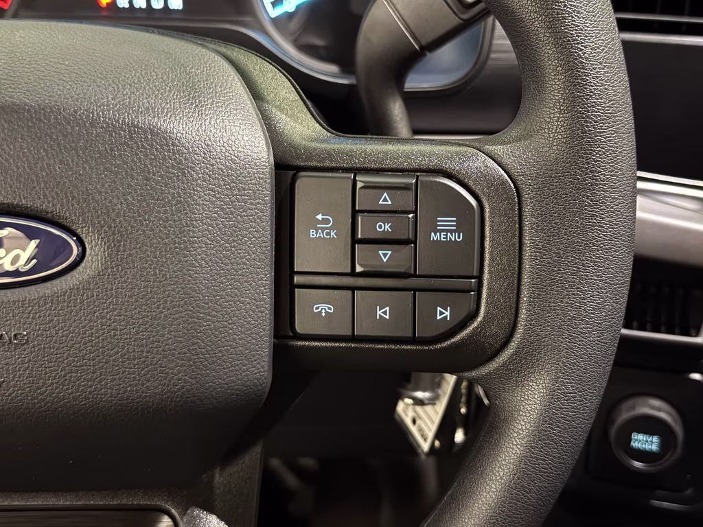 2026 Agate Black Metallic Ford F-150 XL RWD Truck
