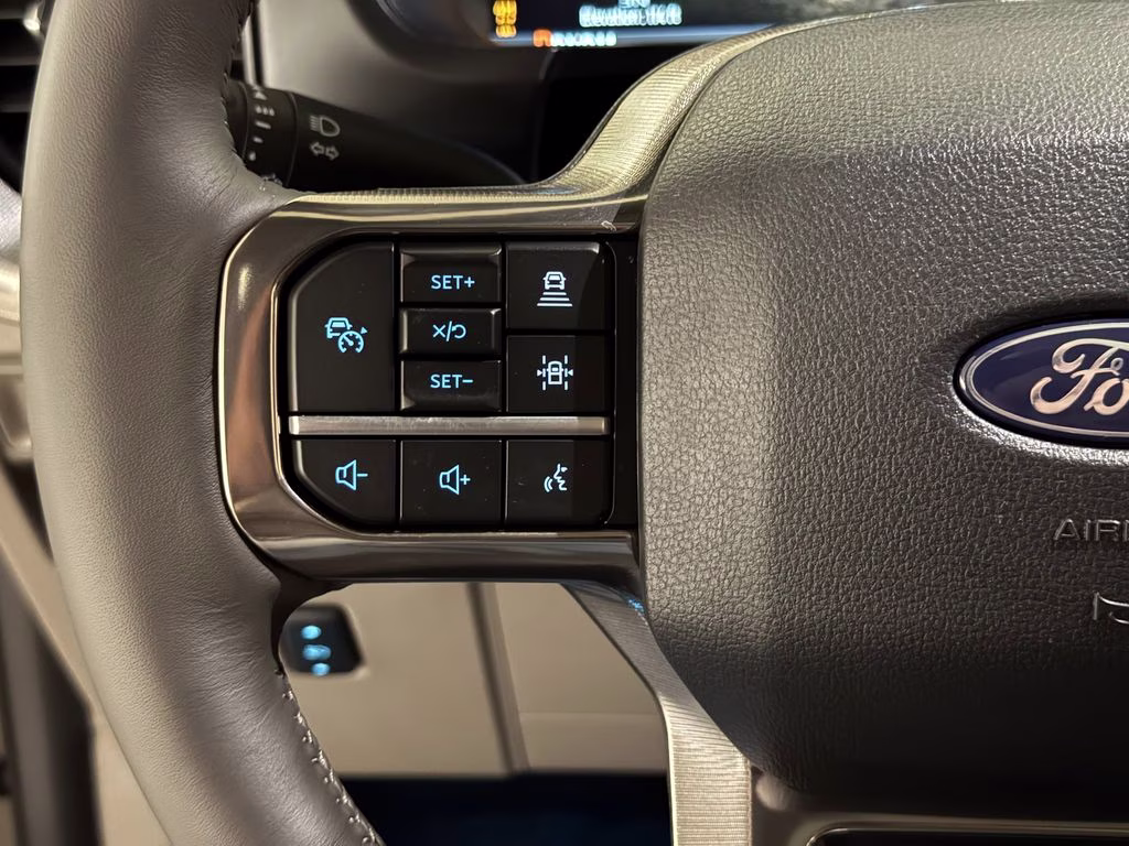 2026 Marsh Gray Ford F-150 Platinum 4X4 Truck