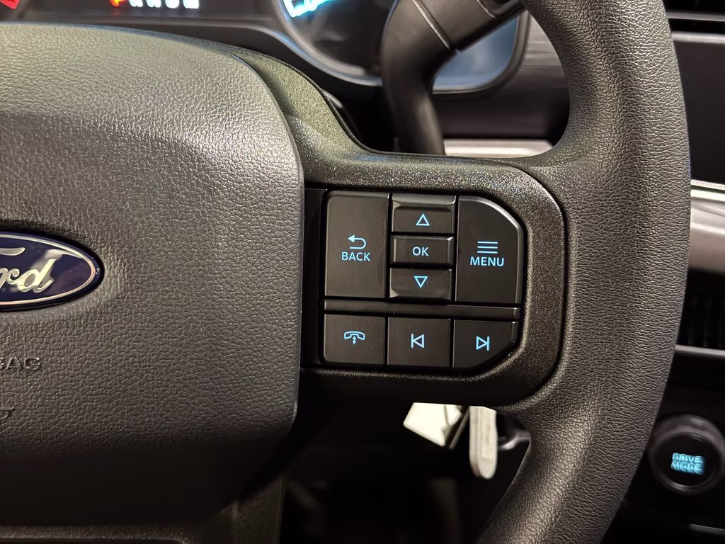 2026 Carbonized Gray Metallic Ford F-150 XL RWD Truck