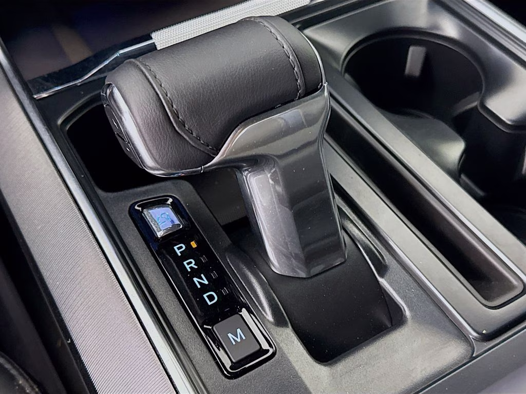 2024 Black Metallic Ford F-150 Platinum 4X4 Truck