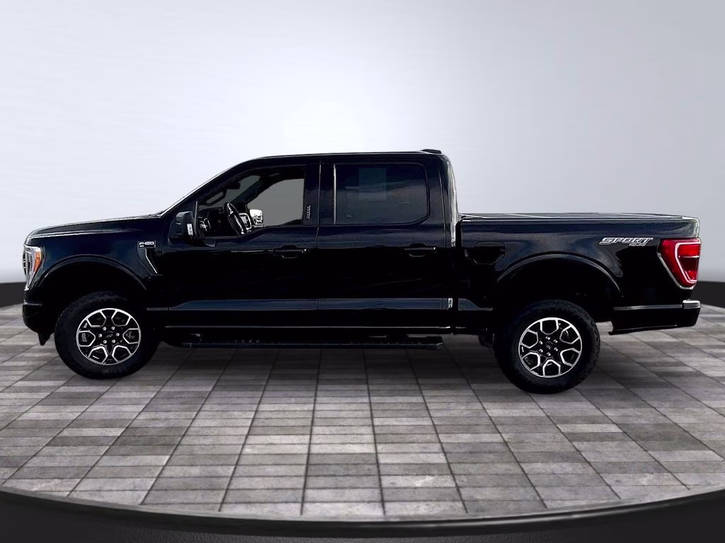 2023 Agate Black Ford F-150 XLT 4X4 Truck