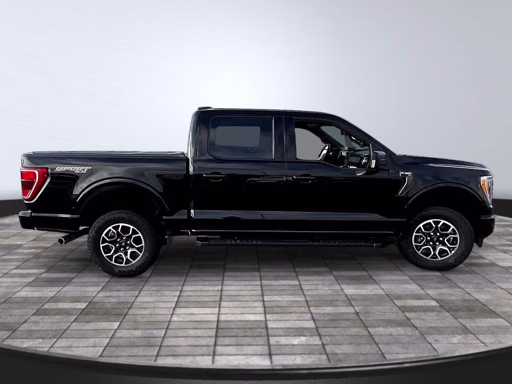 2023 Agate Black Ford F-150 XLT 4X4 Truck
