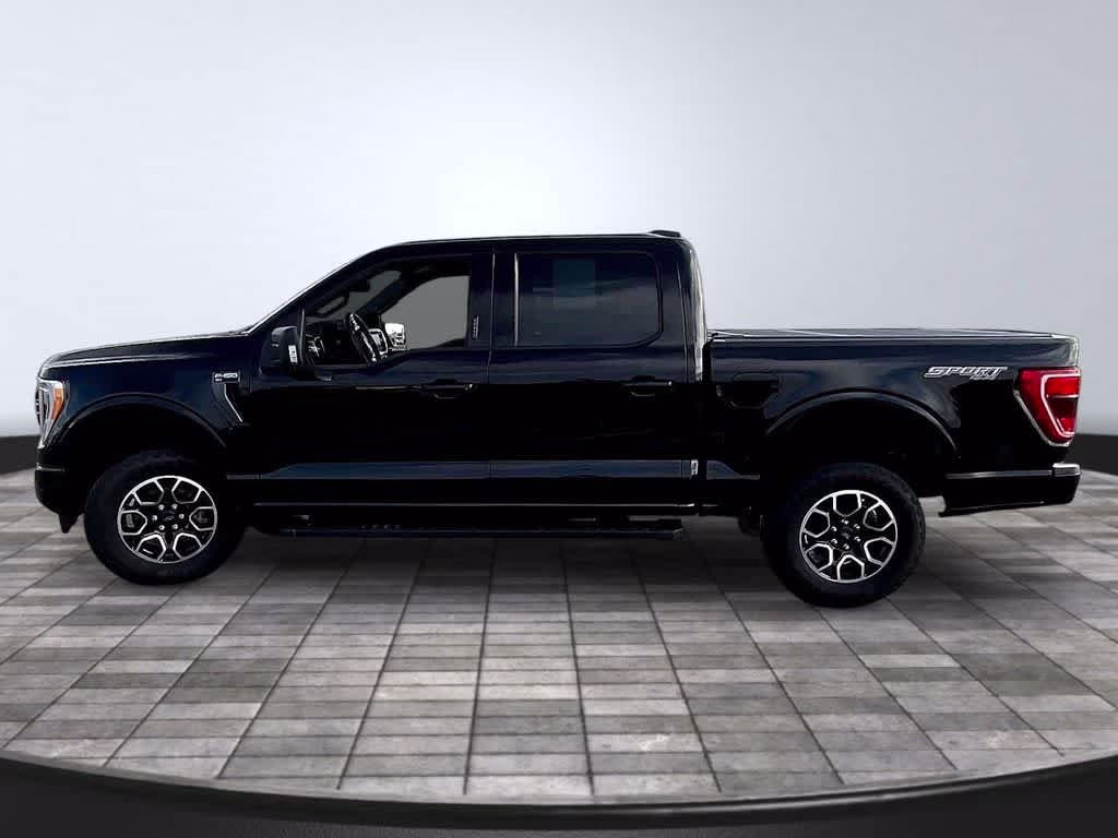 2023 Agate Black Ford F-150 XLT 4X4 Truck