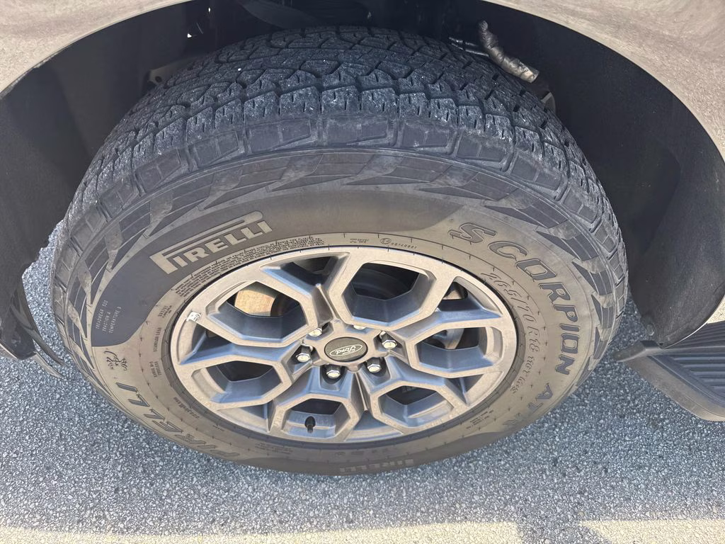 2025 Agate Black Metallic Ford Expedition Active RWD SUV
