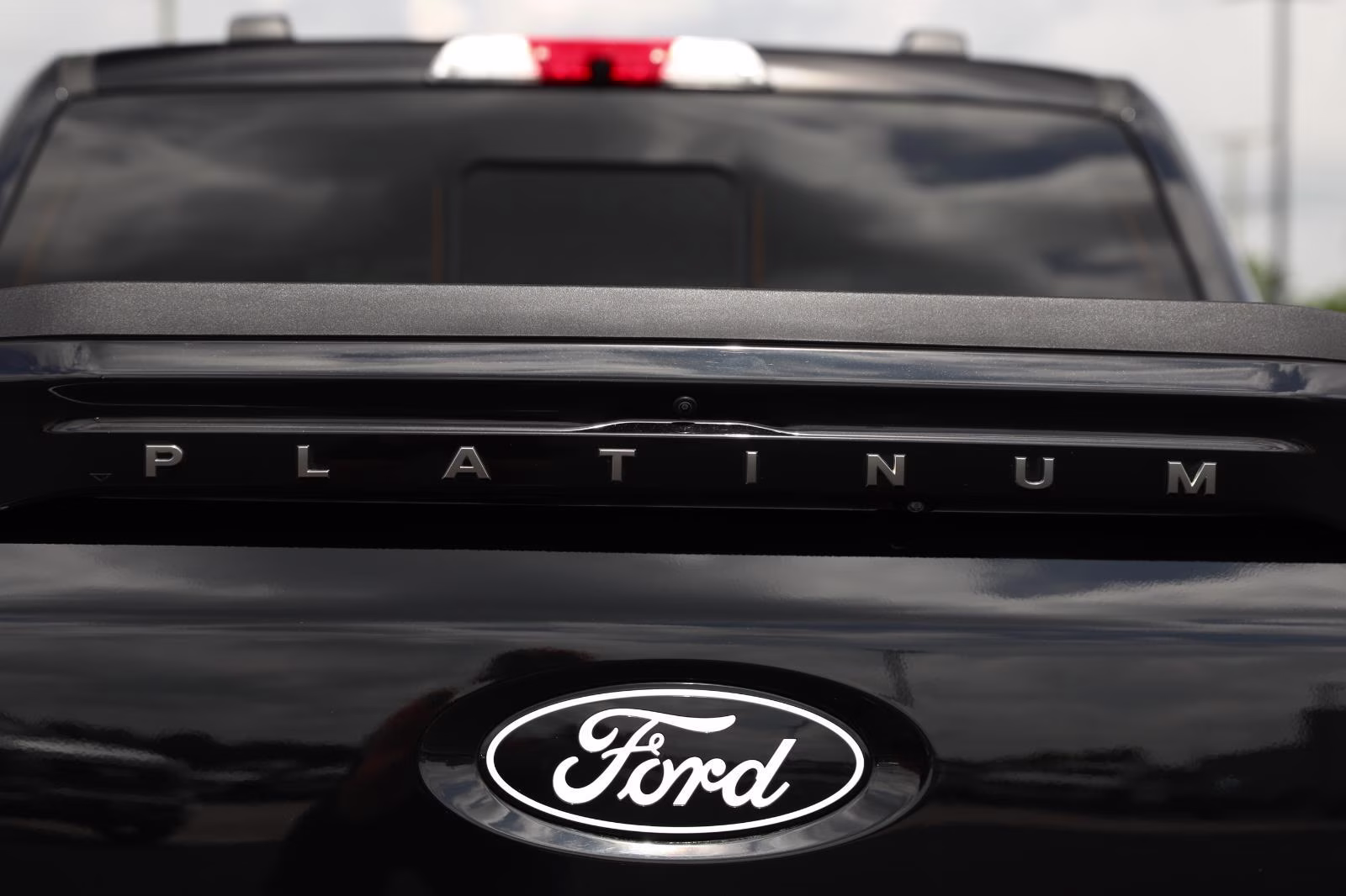 2024 Agate Black Metallic Ford F-150 Platinum 4X4 Truck