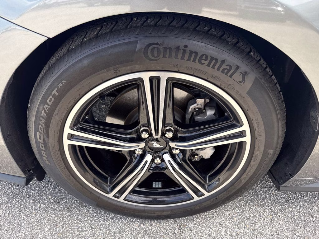 2024 Carbonized Gray Metallic Ford Mustang EcoBoost Premium RWD Convertible