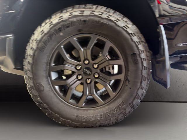 2025 Agate Black Metallic Ford F-150 Tremor 4X4 Truck