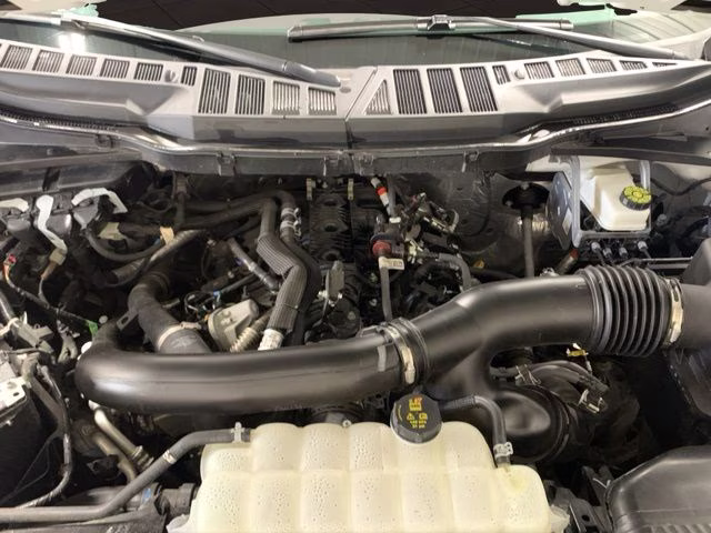 2025 Oxford White Ford F-150 XLT 4X4 Truck
