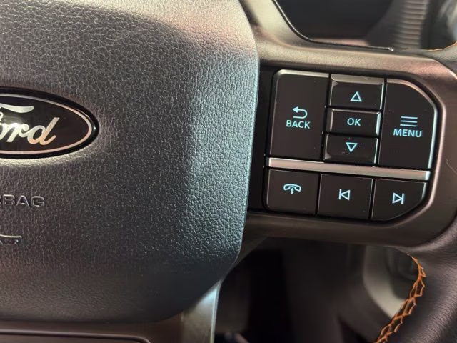 2025 Agate Black Metallic Ford F-150 Tremor 4X4 Truck