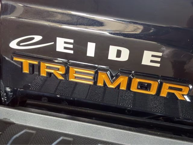 2025 Agate Black Metallic Ford F-150 Tremor 4X4 Truck