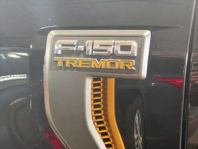 2025 Agate Black Metallic Ford F-150 Tremor 4X4 Truck