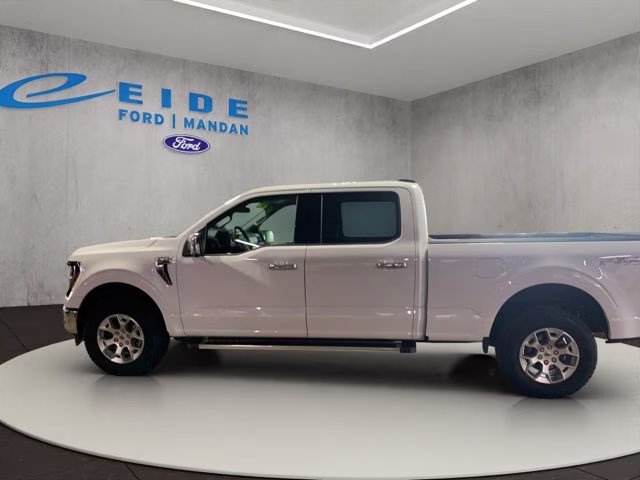 2025 Oxford White Ford F-150 XLT 4X4 Truck