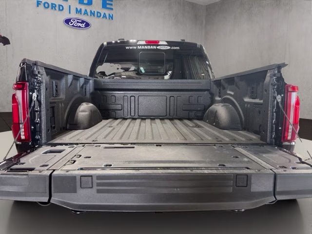 2025 Agate Black Metallic Ford F-150 Tremor 4X4 Truck
