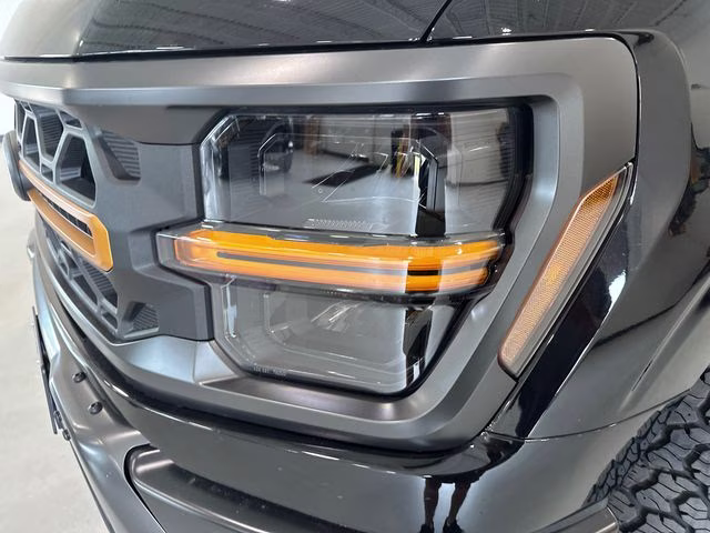 2025 Agate Black Metallic Ford F-150 Tremor 4X4 Truck